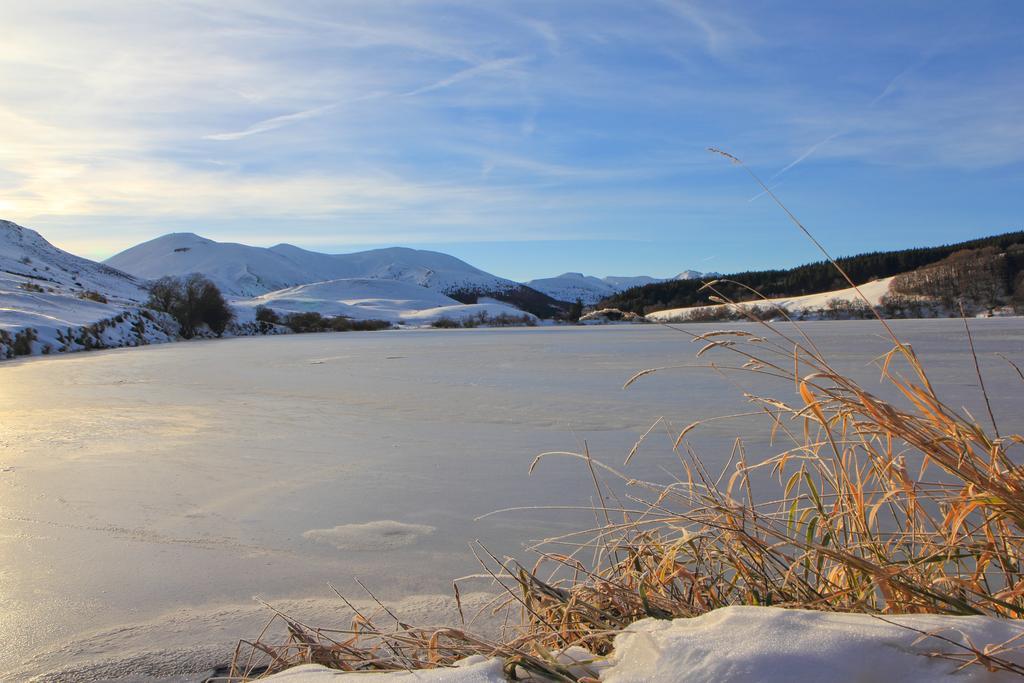 Les Mimosas Le Mont-Dore