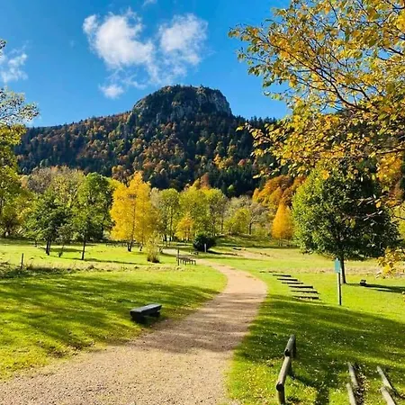 Villa Les Mimosas Le Mont-Dore Extérieur photo