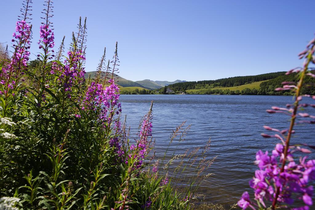 Les Mimosas Apartamento Le Mont-Dore