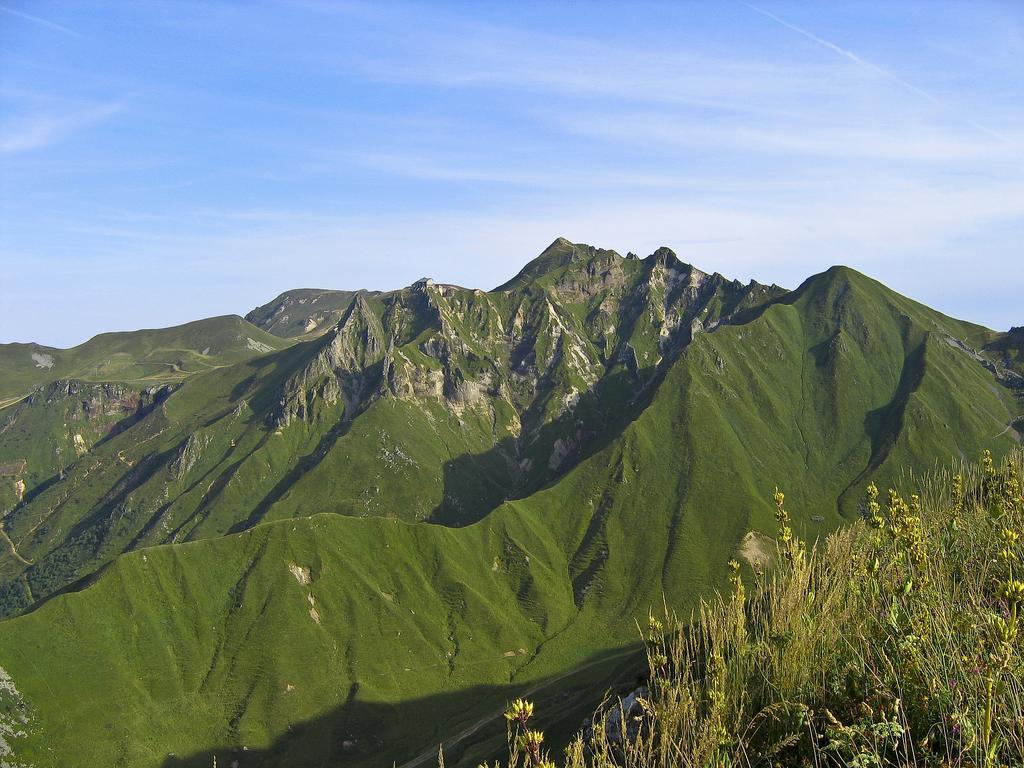Les Mimosas Apartamento Le Mont-Dore